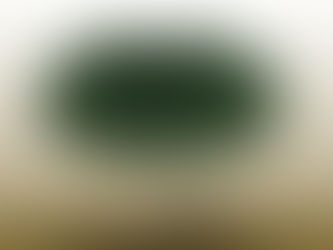 耐人尋味的三維樹化石揭示早石炭紀的樹木演化