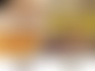 從古蟬科翅膀演變看捕食壓力如何推動飛行演化