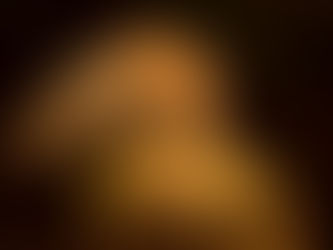 交配一次就會死亡的哺乳類