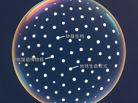 化學如何變成生命,在可能性的範圍邊界中尋找生命的誕生