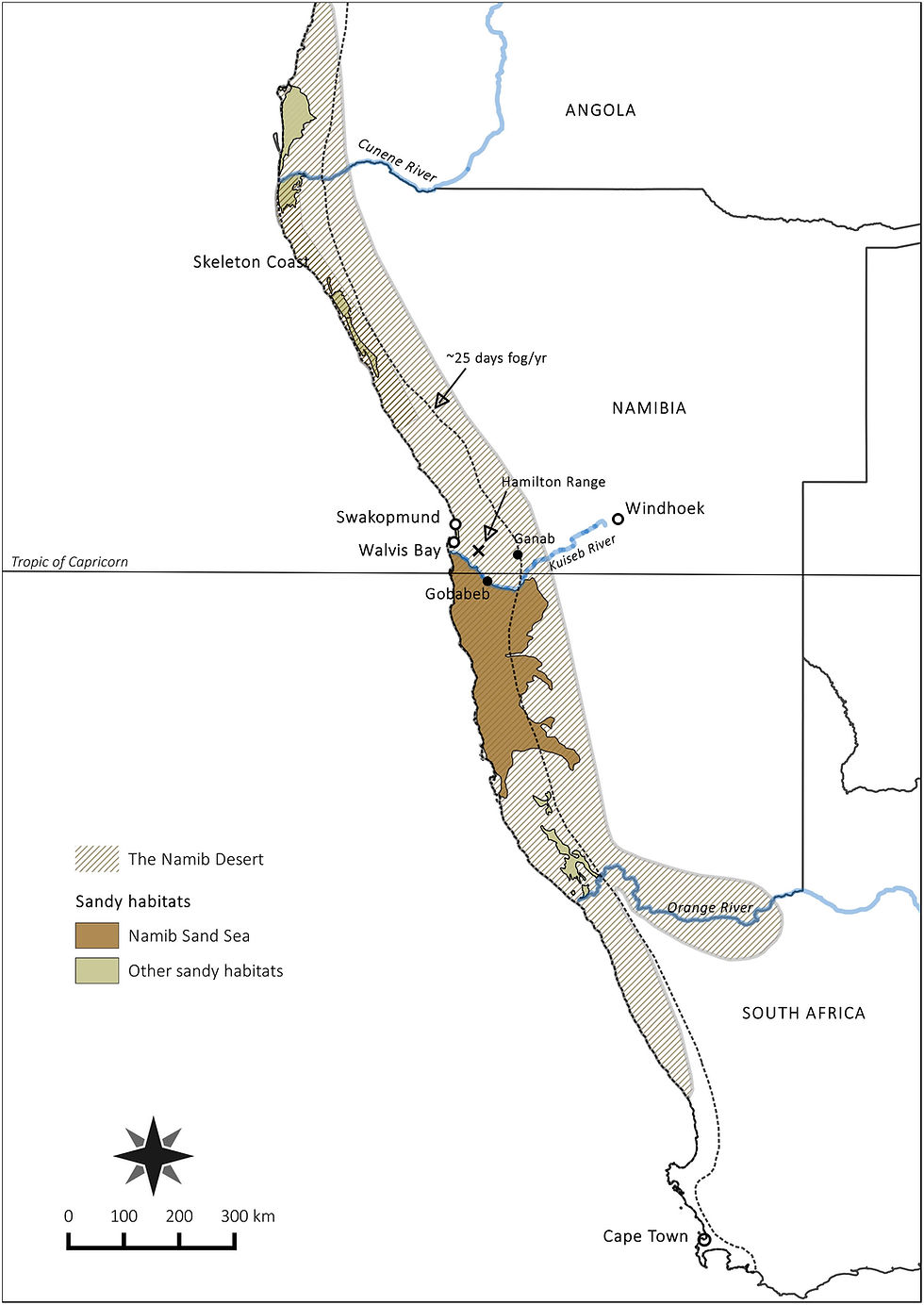 Geography of the Namib Desert. The extent of the Namib Desert is indicated by hatching; the Namib Sand Sea is shown in dark brown; and other sandy habitats are shown in light brown(Image source:Mitchell D et al. (2020), CC BY 4.0 )