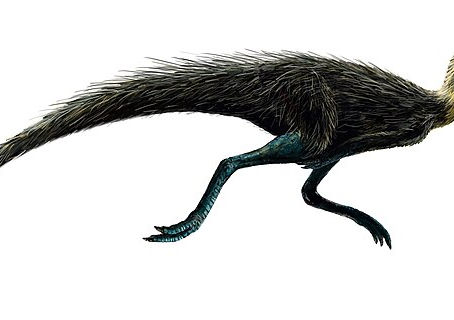 恐龍探索的新前線:分類學基礎、全球化石缺口與科技革新的交會點