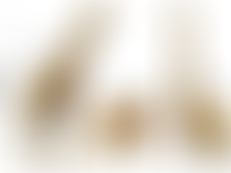 當血液必須爬上兩公尺,長頸鹿血液循環系統會遇到哪些生理挑戰?