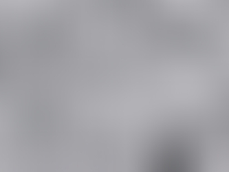 達氏鴯鶓蟲（Emuella dalgarnoi）