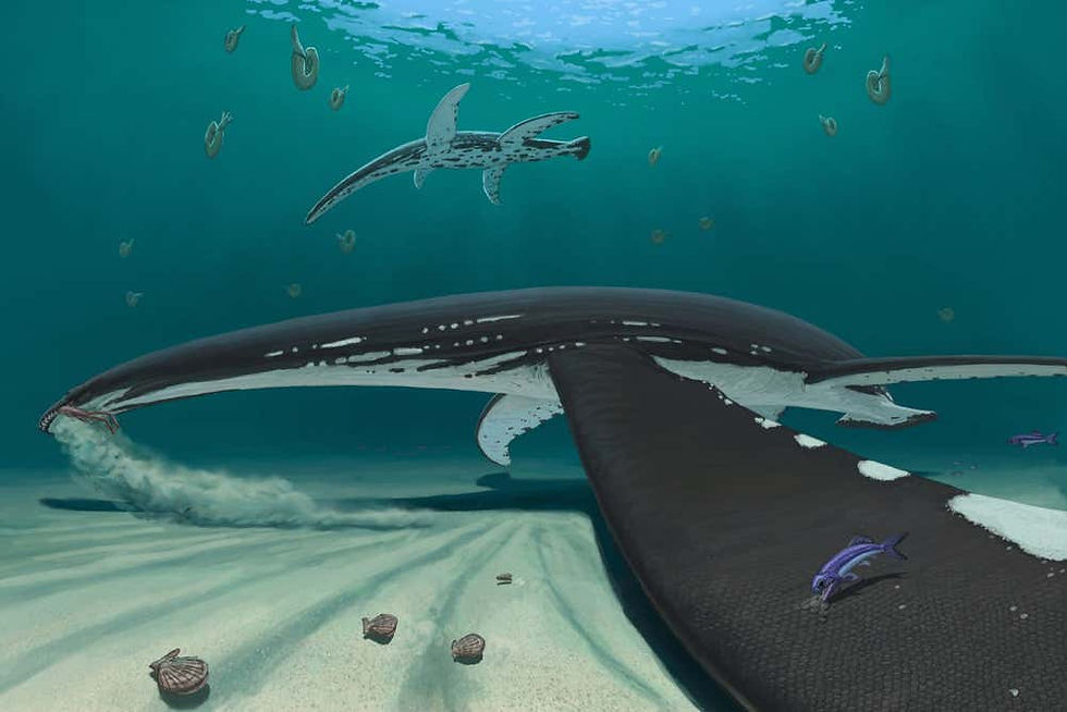 一具完整標本帶來的蛇頸龍類新復原