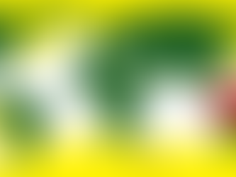 遭到驅逐的古老艦隊 – 鸚鵡螺