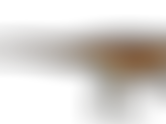 Guanlong wucaii