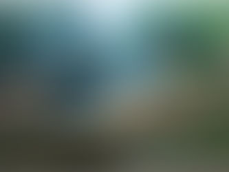 侏羅紀蠍蛉的膨大跗節:化石揭開古昆蟲的性選擇