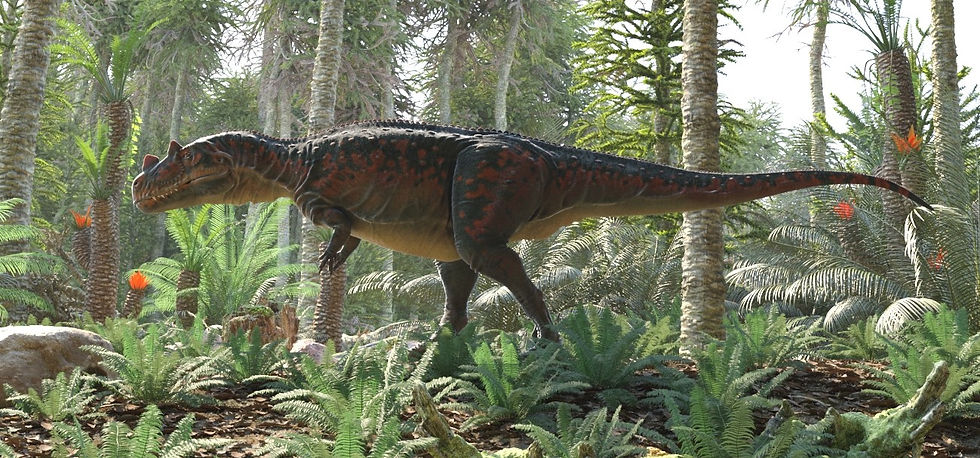 鼻角角鼻龍（Ceratosaurus nasicornis）