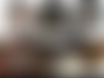 A Brief Overview of Kiwi Species Diversity