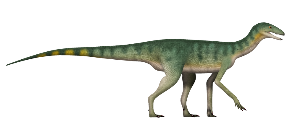 西里龍類的復原圖(圖片來源:TotalDino,採用 CC BY 4.0 授權)