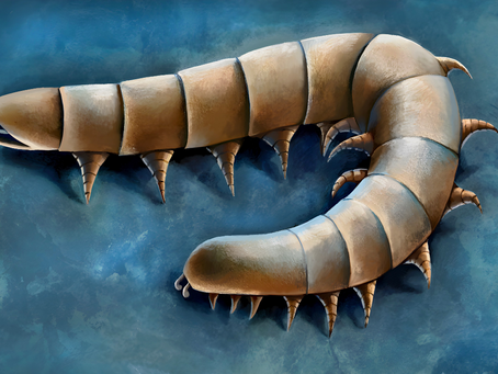 A Small Arthropod from the Waukesha Lagerstätte Illuminates Myriapod Evolution Before the Transition to Land