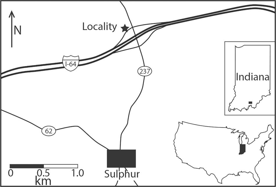 化石地點（圖片來源：Smith NS et al. (2025)，採用 CC BY 4.0 授權）