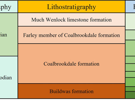Stratigraphy — Introduction to Paleontology (Part III)