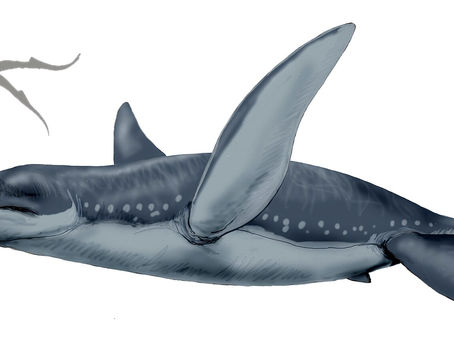 馮氏上龍(Pliosaurus funkei)