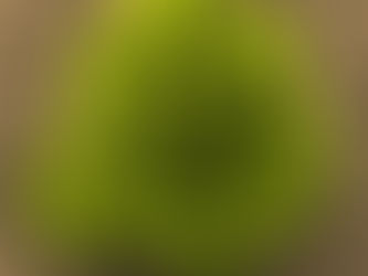 球石藻比想像中更早出現:幽靈化石重寫三疊紀浮游生物史