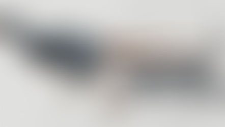 卓異賴索托龍（Lesothosaurus diagnosticus）