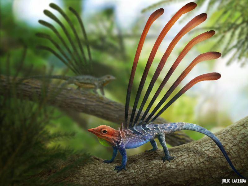 奇異長鱗龍復原圖（圖片感些Julio Lacerda提供）