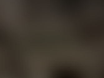 探究怪誕蟲之早期有爪動物口咽結構