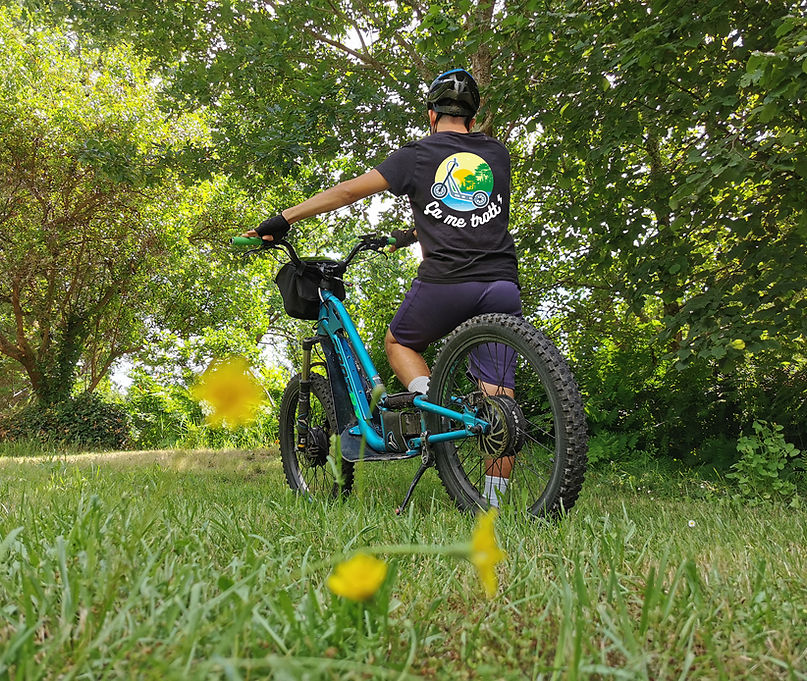 Le guide et la trotinette électrique