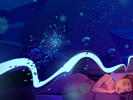 he Sleep Architecture 8: Environmental Sleep Disruptors