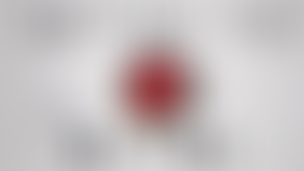 Reset Button