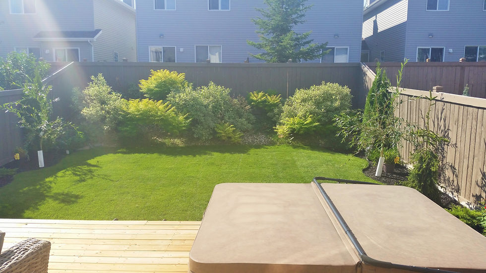 Deck, hot tub pad, fence, landscaping