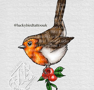 Robin (1) copy.jpg