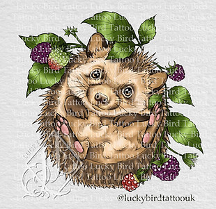 Hedgehog copy.jpg