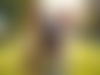 Exploring Unique Mixed Breeds at Turbo Coltrievers