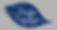 ITNG LOGO