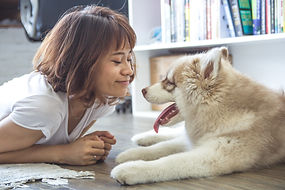dog care