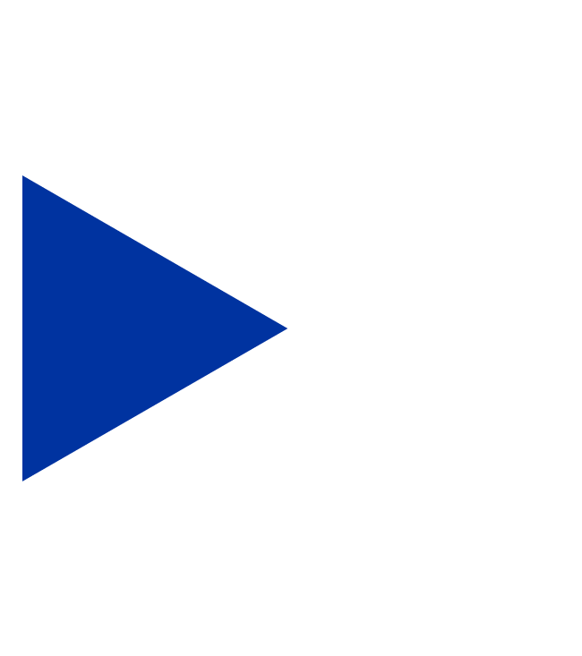 Rivor Advisory Expertise icon