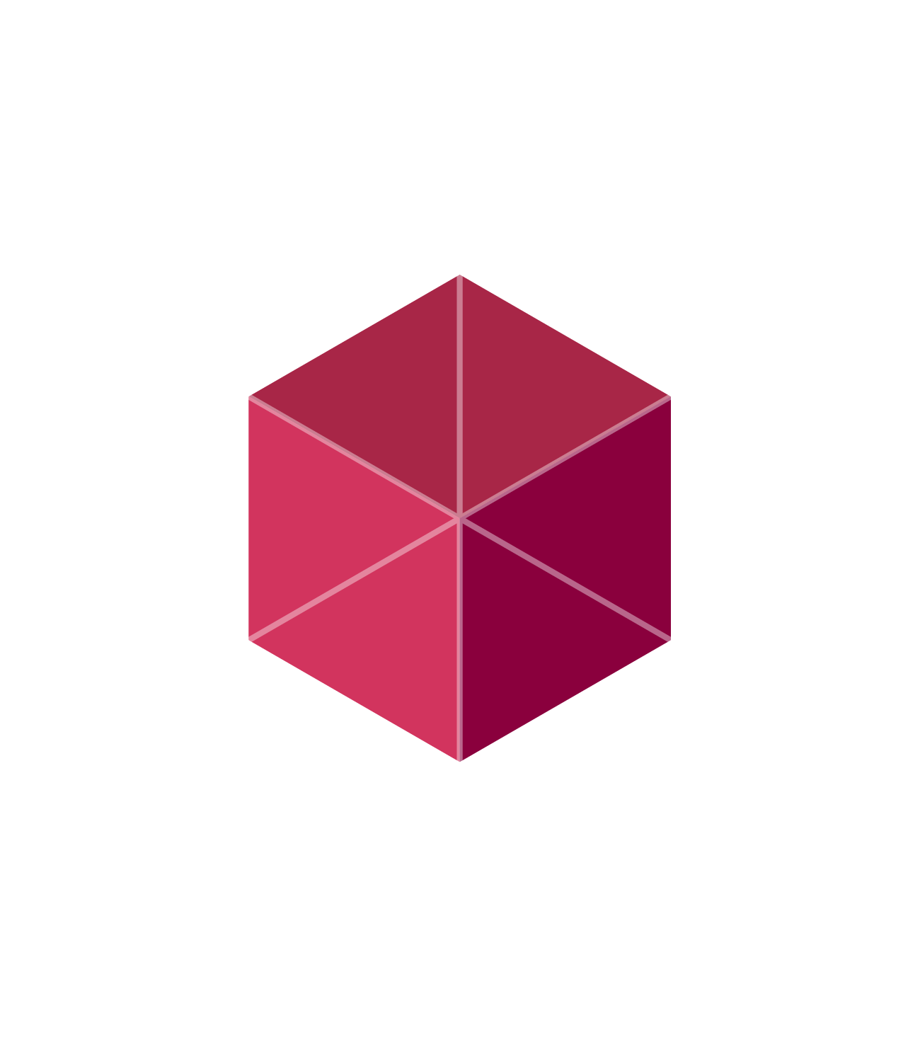 Rivor Advisory Digital Architecture icon
