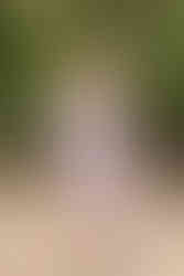 hkcreate hk create bay area photography morgan hill photoshoot family mini session morning sage pink neutral color palette family of four