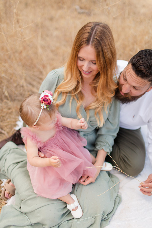hkcreate hk create bay area photography morgan hill photoshoot family mini session morning sage pink neutral color palette family of four