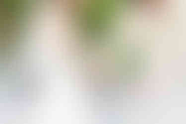 hk create hkcreate photography bay area wedding photographers light and airy joyful happy romantic beautiful photography bride groom first look saratoga springs wedding venue california