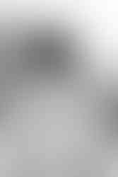 hkcreate hk create heather and kissy photography duo bay area photographers arizona cactus garden stanford family legacy photo session extended family joyful loving cute sweet light and airy