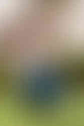 hkcreate hk create graduation san jose state university cap gown couple light and airy joyful