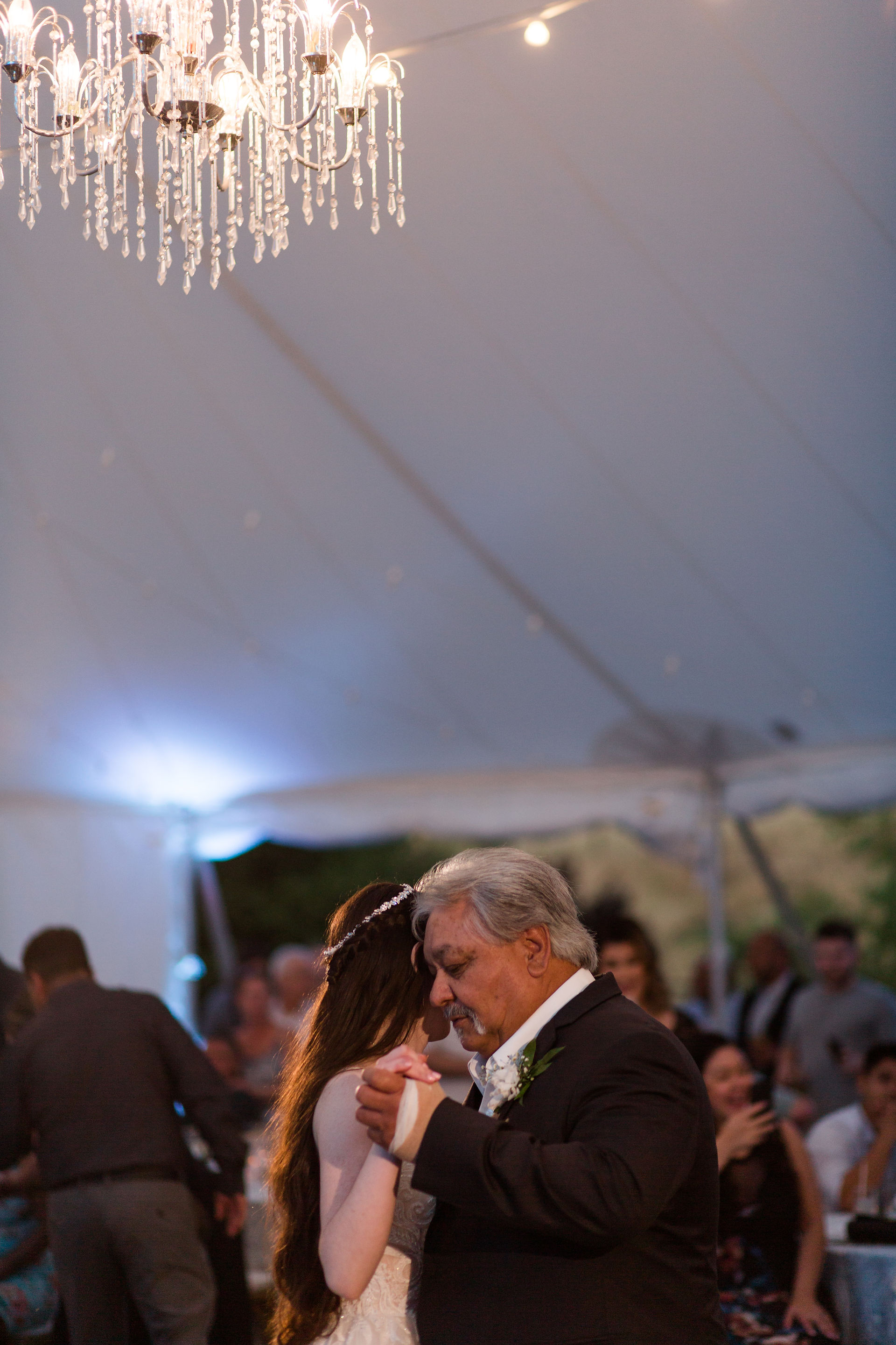 hkcreate hk create photography bay area wedding photographers nella terra wine cellars sunol california venue light and airy summer romantic sweet beautiful father daughter dance reception