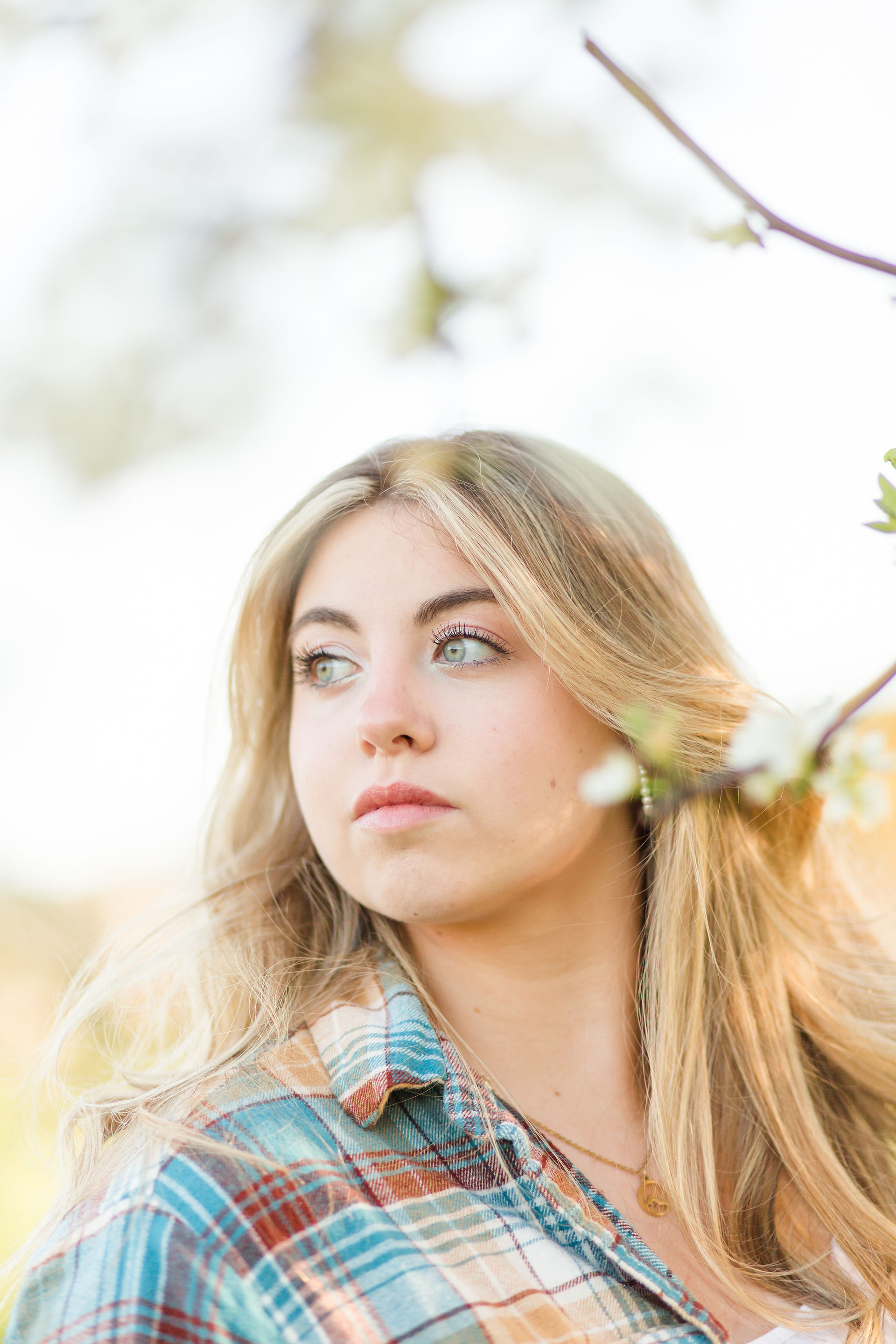 hkcreate hk create bay area graduation photographer san jose high school spring light and airy saratoga library heritage orchard california senior portraits