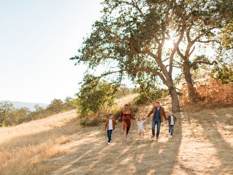 ABOUT THE LOCATION | Guadalupe Oak Grove Park, San Jose | Bay Area Photographers
