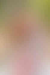 hkcreate hk create bay area photography morgan hill photoshoot family mini session morning sage pink neutral color palette family of four