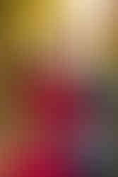 FOREST ENGAGEMENT COUPLE HENRY COWELL hkcreate hk create photographer photography bay area san jose red dress gown wildflower bouquet blue shirt cute baltic born golden hour joyful