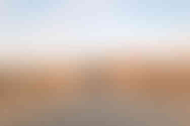 hkcreate hk create bay area family photography mini session morgan hill trail tree path field golden light