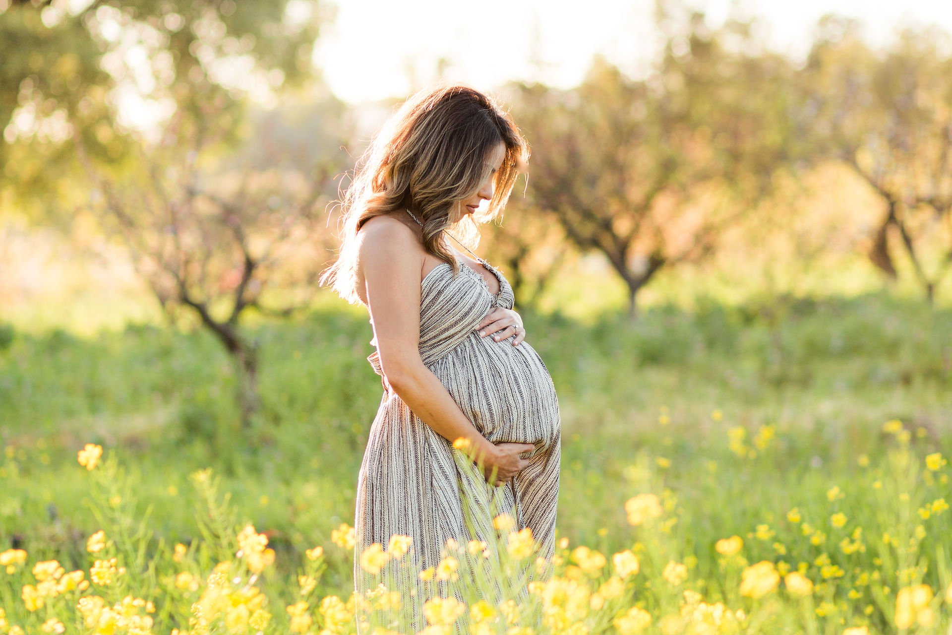 hkcreate hk photography photographer san jose saratoga library spring maxi dress Bay Area Spring Maternity Session Heritage Orchard, Saratoga
