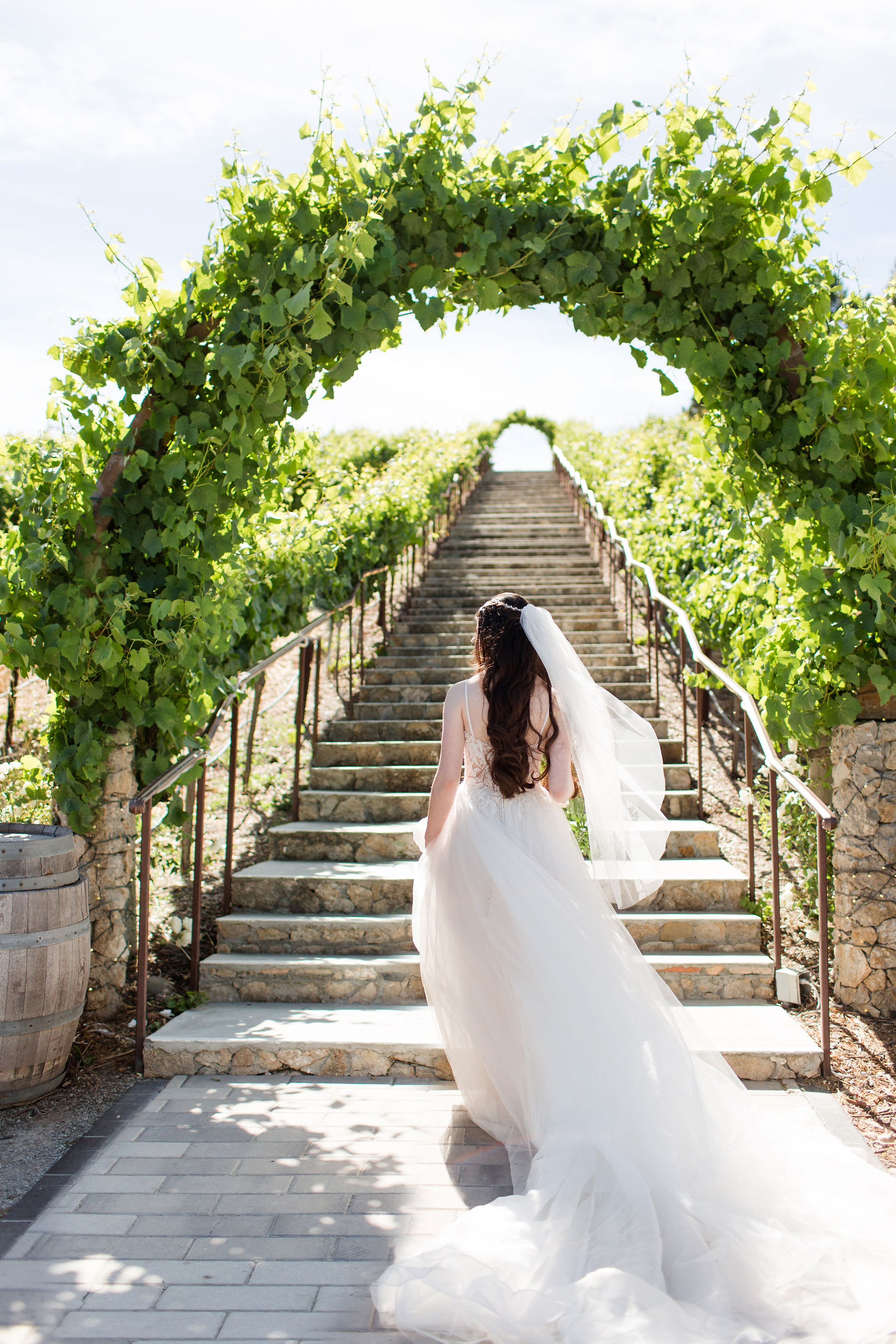 hkcreate hk create photography bay area wedding photographers nella terra wine cellars sunol california venue light and airy summer bride groom portraits