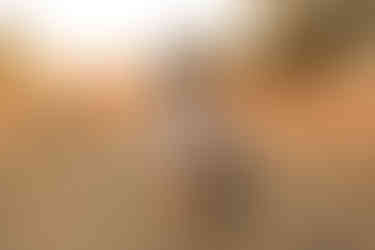 hkcreate hk create bay area family photography mini session morgan hill trail tree path field golden light