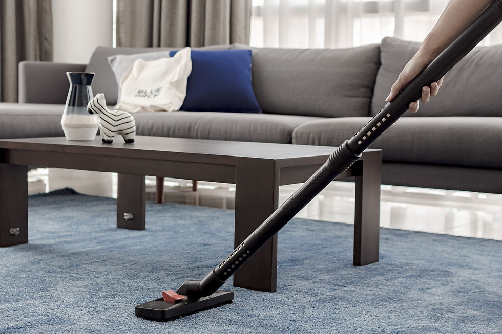 Hotel-standard Cleaning