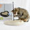 Miniature : Jeu pour chat Scratcher